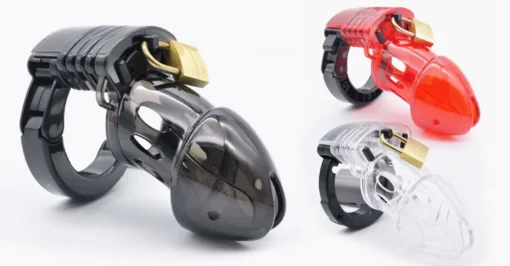 CB6000 Male Chastity Cage