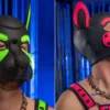 Neoprene Frisky Pup Hood