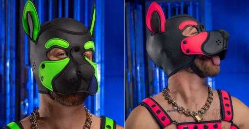 Neoprene Frisky Pup Hood